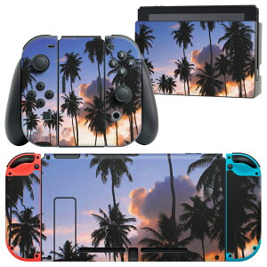 igsticker Nintendo Switch p fUCXLV[ CV jeh[ XCb` p {̃hbN Joy-Con Joycon WCR p Q[@ Jo[ ANZT[ tB XebJ[ 010821 V̖