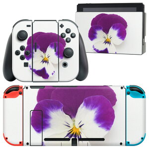 igsticker Nintendo Switch �p �f�U�C���X�L���V�[�� �C�V�� �j���e���h�[ �X�C�b�` ��p �{�̃h�b�N Joy-Con Joycon �W���C�R�� ��p �Q�[���@ �J�o�[ �A�N�Z�T���[ �t�B���� �X�e�b�J�[ 011038 �ԁ@�@��