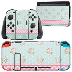 igsticker Nintendo Switch �p �f�U�C���X�L���V�[�� �C�V�� �j���e���h�[ �X�C�b�` ��p �{�̃h�b�N Joy-Con Joycon �W���C�R�� ��p �Q�[���@ �J�o�[ �A�N�Z�T���[ �t�B���� �X�e�b�J�[ 011044 �ԁ@�`�F