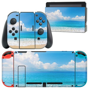igsticker Nintendo Switch p fUCXLV[ CV jeh[ XCb` p {̃hbN Joy-Con Joycon WCR p Q[@ Jo[ ANZT[ tB XebJ[ 011085 C@r[