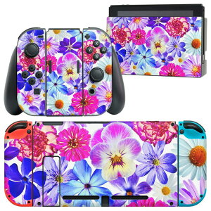 igsticker Nintendo Switch �p �f�U�C���X�L���V�[�� �C�V�� �j���e���h�[ �X�C�b�` ��p �{�̃h�b�N Joy-Con Joycon �W���C�R�� ��p �Q�[���@ �J�o�[ �A�N�Z�T���[ �t�B���� �X�e�b�J�[ 011116 �ԁ@�@�J