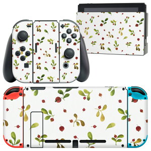 igsticker Nintendo Switch p fUCXLV[ CV jeh[ XCb` p {̃hbN Joy-Con Joycon WCR p Q[@ Jo[ ANZT[ tB XebJ[ 011265 A@V