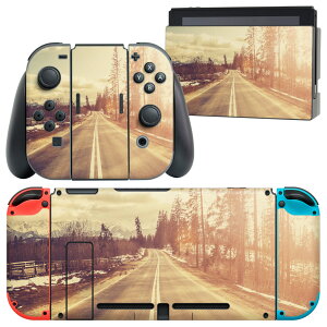 igsticker Nintendo Switch 用 デザインスキンシール 任天堂 ニンテンドー スイッチ 専用 本体ドック Joy-Con Joycon ジョイコン 専用 ゲーム機 カバー アクセサリー フィルム ステッカー 011287 写真 風