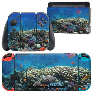 igsticker Nintendo Switch p fUCXLV[ CV jeh[ XCb` p {̃hbN Joy-Con Joycon WCR p Q[@ Jo[ ANZT[ tB XebJ[ 011697 C@X