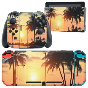 igsticker Nintendo Switch p fUCXLV[ CV jeh[ XCb` p {̃hbN Joy-Con Joycon WCR p Q[@ Jo[ ANZT[ tB XebJ[ 011779 ʐ^@