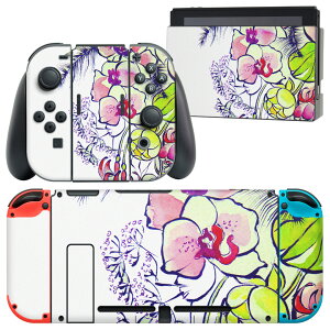 igsticker Nintendo Switch p fUCXLV[ CV jeh[ XCb` p {̃hbN Joy-Con Joycon WCR p Q[@ Jo[ ANZT[ tB XebJ[ 011885 ԁ@ԕ