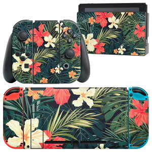 igsticker Nintendo Switch p fUCXLV[ CV jeh[ XCb` p {̃hbN Joy-Con Joycon WCR p Q[@ Jo[ ANZT[ tB XebJ[ 012070 nCrX