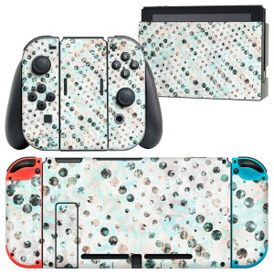 igsticker Nintendo Switch p fUCXLV[ CV jeh[ XCb` p {̃hbN Joy-Con Joycon WCR p Q[@ Jo[ ANZT[ tB XebJ[ 012198 hbg@