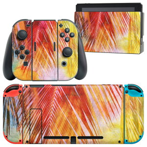 igsticker Nintendo Switch p fUCXLV[ CV jeh[ XCb` p {̃hbN Joy-Con Joycon WCR p Q[@ Jo[ ANZT[ tB XebJ[ 012296 t@A