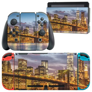 igsticker Nintendo Switch p fUCXLV[ CV jeh[ XCb` p {̃hbN Joy-Con Joycon WCR p Q[@ Jo[ ANZT[ tB XebJ[ 012380 @iF