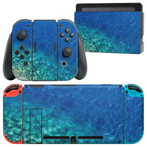 igsticker Nintendo Switch p fUCXLV[ CV jeh[ XCb` p {̃hbN Joy-Con Joycon WCR p Q[@ Jo[ ANZT[ tB XebJ[ 012738 C@ā@