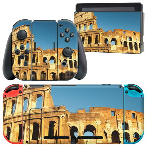 igsticker Nintendo Switch p fUCXLV[ CV jeh[ XCb` p {̃hbN Joy-Con Joycon WCR p Q[@ Jo[ ANZT[ tB XebJ[ 012829 ʐ^@