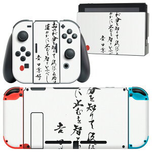 igsticker Nintendo Switch p fUCXLV[ CV jeh[ XCb` p {̃hbN Joy-Con Joycon WCR p Q[@ Jo[ ANZT[ tB XebJ[ 013375 @