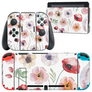 igsticker Nintendo Switch p fUCXLV[ CV jeh[ XCb` p {̃hbN Joy-Con Joycon WCR p Q[@ Jo[ ANZT[ tB XebJ[ 013493 ԁ@ԕ