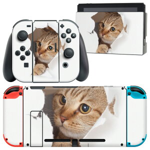 igsticker Nintendo Switch p fUCXLV[ CV jeh[ XCb` p {̃hbN Joy-Con Joycon WCR p Q[@ Jo[ ANZT[ tB XebJ[ 013566 L@ʐ^