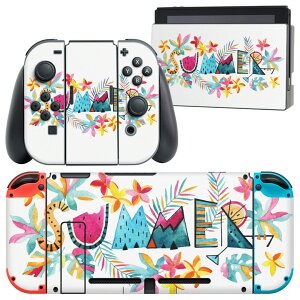 igsticker Nintendo Switch p fUCXLV[ CV jeh[ XCb` p {̃hbN Joy-Con Joycon WCR p Q[@ Jo[ ANZT[ tB XebJ[ 014053 XCJ@