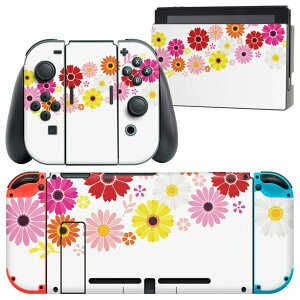 igsticker Nintendo Switch �p �f�U�C���X�L���V�[�� �C�V�� �j���e���h�[ �X�C�b�` ��p �{�̃h�b�N Joy-Con Joycon �W���C�R�� ��p �Q�[���@ �J�o�[ �A�N�Z�T���[ �t�B���� �X�e�b�J�[ 014188 �ԁ@�@�J