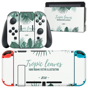 igsticker Nintendo Switch p fUCXLV[ CV jeh[ XCb` p {̃hbN Joy-Con Joycon WCR p Q[@ Jo[ ANZT[ tB XebJ[ 014248 [t@