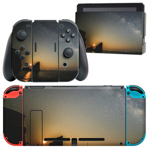 igsticker Nintendo Switch p fUCXLV[ CV jeh[ XCb` p {̃hbN Joy-Con Joycon WCR p Q[@ Jo[ ANZT[ tB XebJ[ 014283 i@