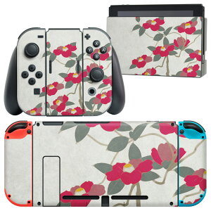 igsticker Nintendo Switch p fUCXLV[ CV jeh[ XCb` p {̃hbN Joy-Con Joycon WCR p Q[@ Jo[ ANZT[ tB XebJ[ 014376 a@a