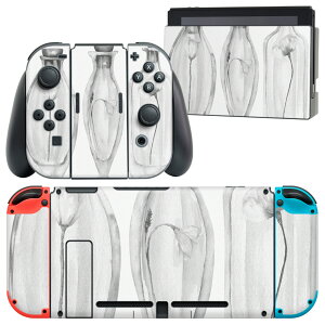 igsticker Nintendo Switch p fUCXLV[ CV jeh[ XCb` p {̃hbN Joy-Con Joycon WCR p Q[@ Jo[ ANZT[ tB XebJ[ 014526 r@ԁ@