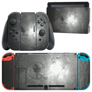 igsticker Nintendo Switch p fUCXLV[ CV jeh[ XCb` p {̃hbN Joy-Con Joycon WCR p Q[@ Jo[ ANZT[ tB XebJ[ 014529 mN