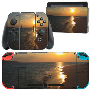 igsticker Nintendo Switch p fUCXLV[ CV jeh[ XCb` p {̃hbN Joy-Con Joycon WCR p Q[@ Jo[ ANZT[ tB XebJ[ 014558 C@l