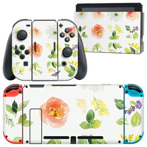 igsticker Nintendo Switch p fUCXLV[ CV jeh[ XCb` p {̃hbN Joy-Con Joycon WCR p Q[@ Jo[ ANZT[ tB XebJ[ 014559 ԁ@@J