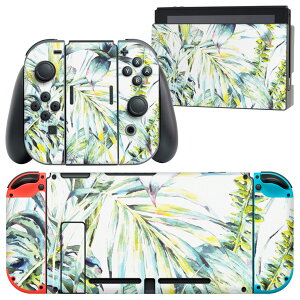 igsticker Nintendo Switch p fUCXLV[ CV jeh[ XCb` p {̃hbN Joy-Con Joycon WCR p Q[@ Jo[ ANZT[ tB XebJ[ 014664 [t@