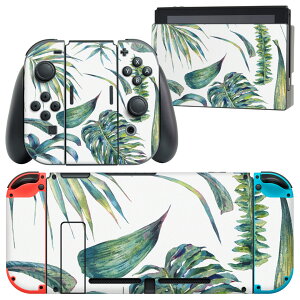 igsticker Nintendo Switch p fUCXLV[ CV jeh[ XCb` p {̃hbN Joy-Con Joycon WCR p Q[@ Jo[ ANZT[ tB XebJ[ 014665 [t@