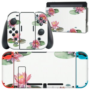 igsticker Nintendo Switch p fUCXLV[ CV jeh[ XCb` p {̃hbN Joy-Con Joycon WCR p Q[@ Jo[ ANZT[ tB XebJ[ 014705 ԁ@@