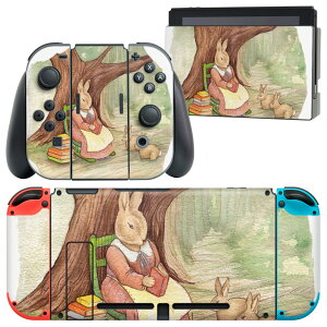 igsticker Nintendo Switch p fUCXLV[ CV jeh[ XCb` p {̃hbN Joy-Con Joycon WCR p Q[@ Jo[ ANZT[ tB XebJ[ 014719 @