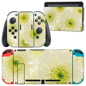 igsticker Nintendo Switch p fUCXLV[ CV jeh[ XCb` p {̃hbN Joy-Con Joycon WCR p Q[@ Jo[ ANZT[ tB XebJ[ 014825 ԁ@@fl
