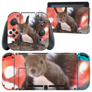 igsticker Nintendo Switch p fUCXLV[ CV jeh[ XCb` p {̃hbN Joy-Con Joycon WCR p Q[@ Jo[ ANZT[ tB XebJ[ 014830 ~@