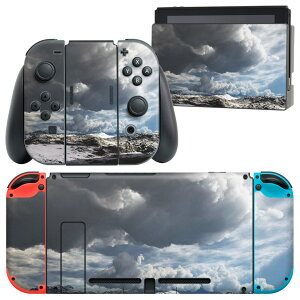 igsticker Nintendo Switch p fUCXLV[ CV jeh[ XCb` p {̃hbN Joy-Con Joycon WCR p Q[@ Jo[ ANZT[ tB XebJ[ 014982 R@i