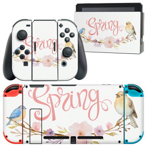 igsticker Nintendo Switch p fUCXLV[ CV jeh[ XCb` p {̃hbN Joy-Con Joycon WCR p Q[@ Jo[ ANZT[ tB XebJ[ 015390 1 C[X^