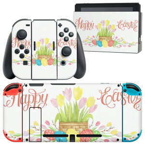 igsticker Nintendo Switch p fUCXLV[ CV jeh[ XCb` p {̃hbN Joy-Con Joycon WCR p Q[@ Jo[ ANZT[ tB XebJ[ 015394 1 C[X^