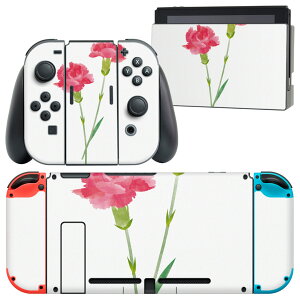igsticker Nintendo Switch �p �f�U�C���X�L���V�[�� �C�V�� �j���e���h�[ �X�C�b�` ��p �{�̃h�b�N Joy-Con Joycon �W���C�R�� ��p �Q�[���@ �J�o�[ �A�N�Z�T���[ �t�B���� �X�e�b�J�[ 015503 �J�[�l�[