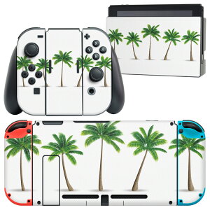 igsticker Nintendo Switch p fUCXLV[ CV jeh[ XCb` p {̃hbN Joy-Con Joycon WCR p Q[@ Jo[ ANZT[ tB XebJ[ 015635 ؁@V