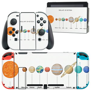 igsticker Nintendo Switch p fUCXLV[ CV jeh[ XCb` p {̃hbN Joy-Con Joycon WCR p Q[@ Jo[ ANZT[ tB XebJ[ 015931 zn@
