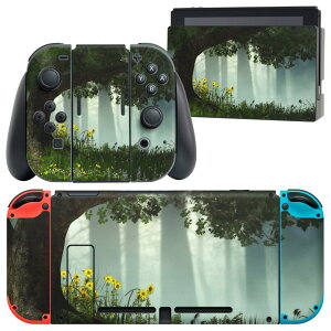 igsticker Nintendo Switch p fUCXLV[ CV jeh[ XCb` p {̃hbN Joy-Con Joycon WCR p Q[@ Jo[ ANZT[ tB XebJ[ 016172 ؁@