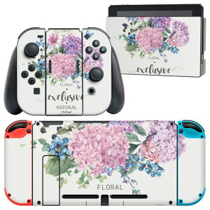 igsticker Nintendo Switch p fUCXLV[ CV jeh[ XCb` p {̃hbN Joy-Con Joycon WCR p Q[@ Jo[ ANZT[ tB XebJ[ 016327 