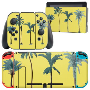 igsticker Nintendo Switch p fUCXLV[ CV jeh[ XCb` p {̃hbN Joy-Con Joycon WCR p Q[@ Jo[ ANZT[ tB XebJ[ 016403 V̖