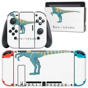 igsticker Nintendo Switch p fUCXLV[ CV jeh[ XCb` p {̃hbN Joy-Con Joycon WCR p Q[@ Jo[ ANZT[ tB XebJ[ 017687  qv