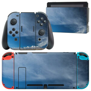 igsticker Nintendo Switch p fUCXLV[ CV jeh[ XCb` p {̃hbN Joy-Con Joycon WCR p Q[@ Jo[ ANZT[ tB XebJ[ 018336 R ʐ^ 