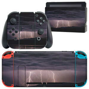 igsticker Nintendo Switch p fUCXLV[ CV jeh[ XCb` p {̃hbN Joy-Con Joycon WCR p Q[@ Jo[ ANZT[ tB XebJ[ 018350  ʐ^ 