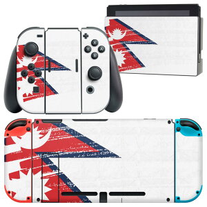 igsticker Nintendo Switch p fUCXLV[ CV jeh[ XCb` p {̃hbN Joy-Con Joycon WCR p Q[@ Jo[ ANZT[ tB XebJ[ 018518  nepal 