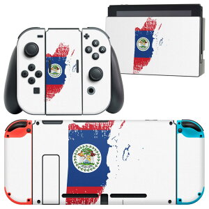 igsticker Nintendo Switch p fUCXLV[ CV jeh[ XCb` p {̃hbN Joy-Con Joycon WCR p Q[@ Jo[ ANZT[ tB XebJ[ 018774  belize 
