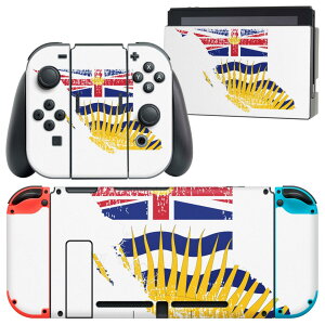 igsticker Nintendo Switch p fUCXLV[ CV jeh[ XCb` p {̃hbN Joy-Con Joycon WCR p Q[@ Jo[ ANZT[ tB XebJ[ 018783  british