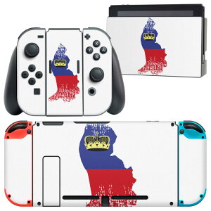igsticker Nintendo Switch p fUCXLV[ CV jeh[ XCb` p {̃hbN Joy-Con Joycon WCR p Q[@ Jo[ ANZT[ tB XebJ[ 018873  liechte